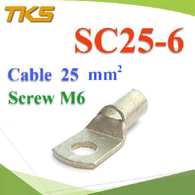 Insulated Electrical Wire Copper Tube Terminals 25 Sq.mm. Screw M6