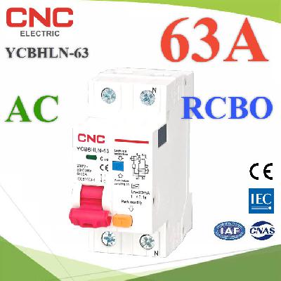 YCB6HLN-63 RCBO 2P 63A 230V AC Residual Current Circuit Breaker with Overcurrent Protection