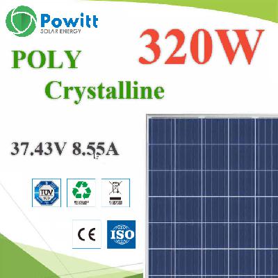 POWITT Polycrystalline 320W High Efficiency Solar PV Module