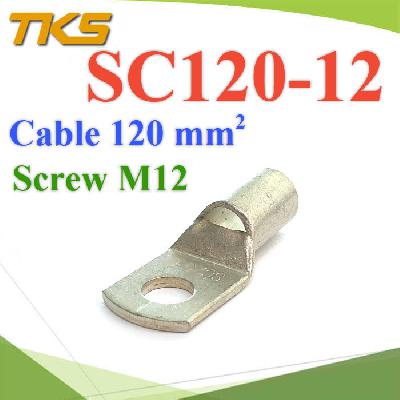 Insulated Electrical Wire Copper Tube Terminals 120 Sq.mm. Screw M12
