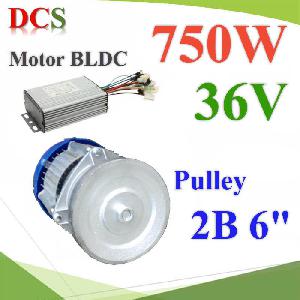 Electric DC motor BLDC Motor 36V 750W with Controller and install Pulley 2B