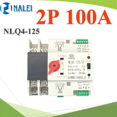 MCB type MINI Dual Power Automatic transfer switch 2Pole 100A ATS Single Phase