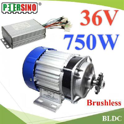 750W 36V BLDC DC Motor Electric Brushless DC with Controller