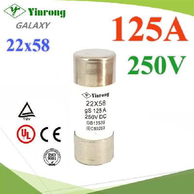 Fuse DC 22x58mm 125A Max.250V gS type for Battery Solar