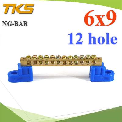 Grounding Insulated Neutral Link Copper 6x9mm. With Holder 12 hole