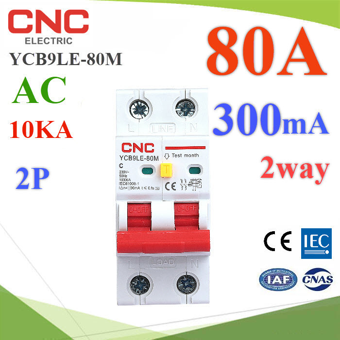 80A 2P RCBO 300mA AC ON-Grid L-N Residual Current Circuit Breaker MCB CNCYCB9LE-80M RCBO 80A 2P 300mA AC 10KA Residual Current Circuit with Overcurrent Protection
